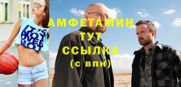 гашик Алексин