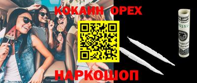 дживик Бийск