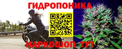 хмурый Берёзовский