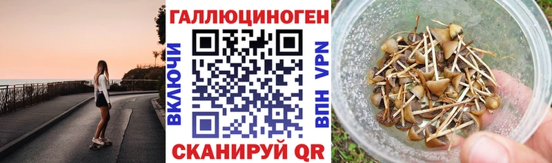 Галлюциногенные грибы Cubensis shop клад Мурманск