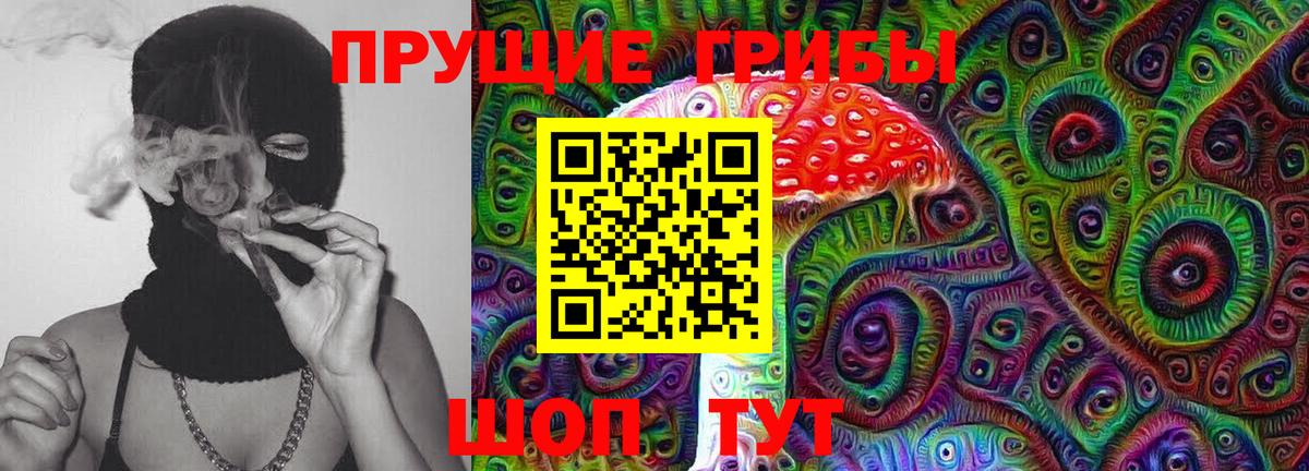 Мурманск  Псилоцибиновые грибы мицелий  Вход с VPN 