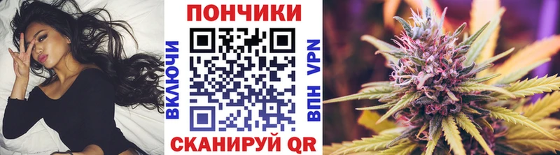закладка  Мурманск  Конопля сатива 